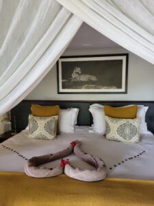 BOTSWANA/CHUTES VICTORIA