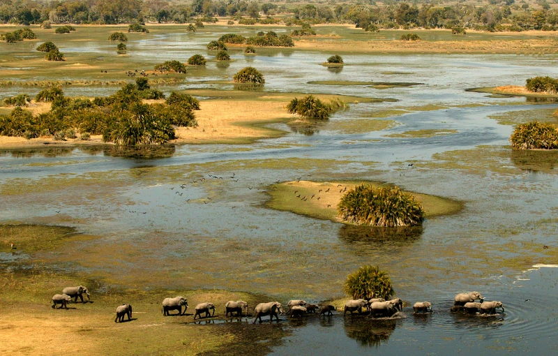 Un été austral sensationnel au Botswana