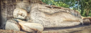 Ruines de la cité royale de Polonnaruwa, patrimoine mondial de l'UNESCO au Sri Lanka