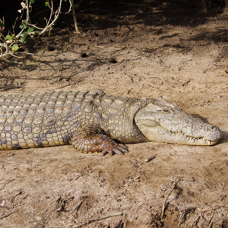 iSimangaliso Wetland Park