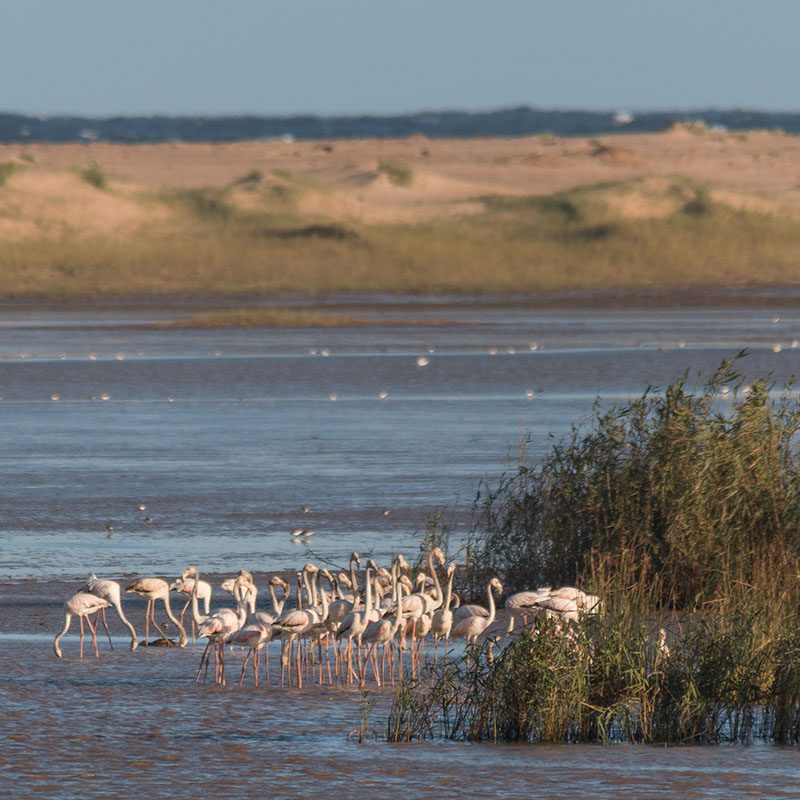 iSimangaliso Wetland Park