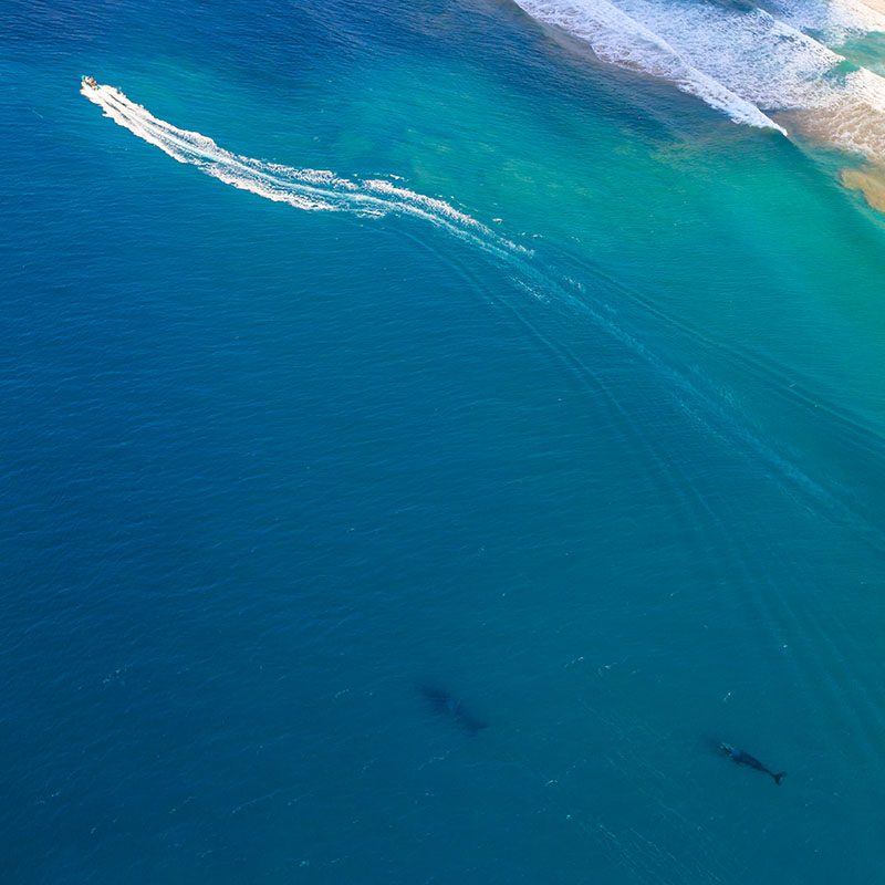 iSimangaliso Wetland Park