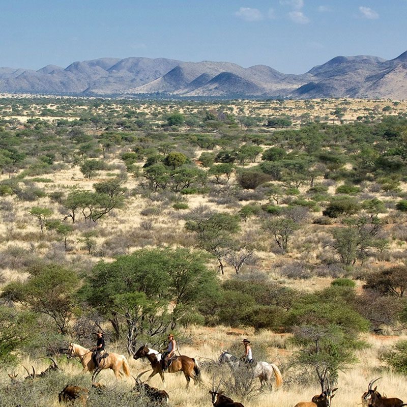 Tswalu Kalahari