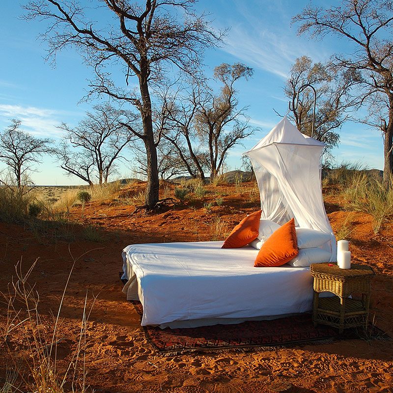 Tswalu Kalahari