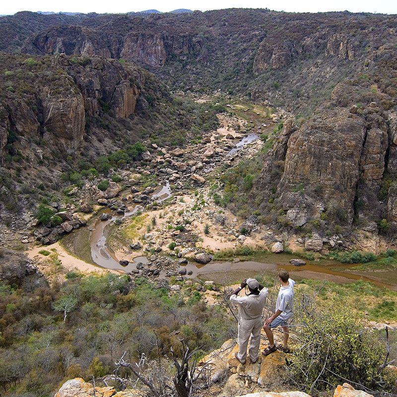 Parc Kruger