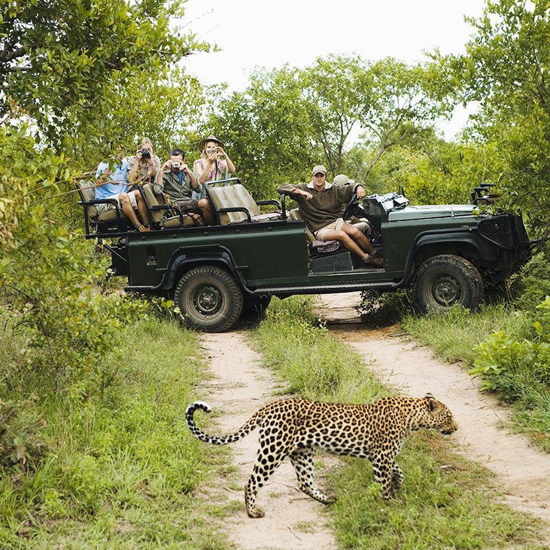 Parc Kruger