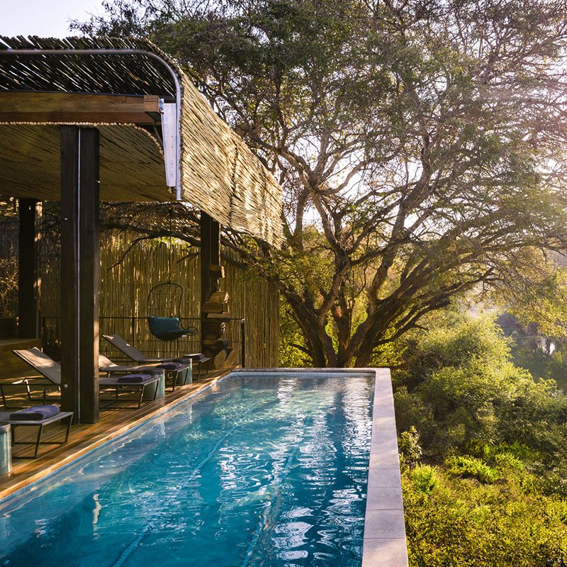 Parc Kruger