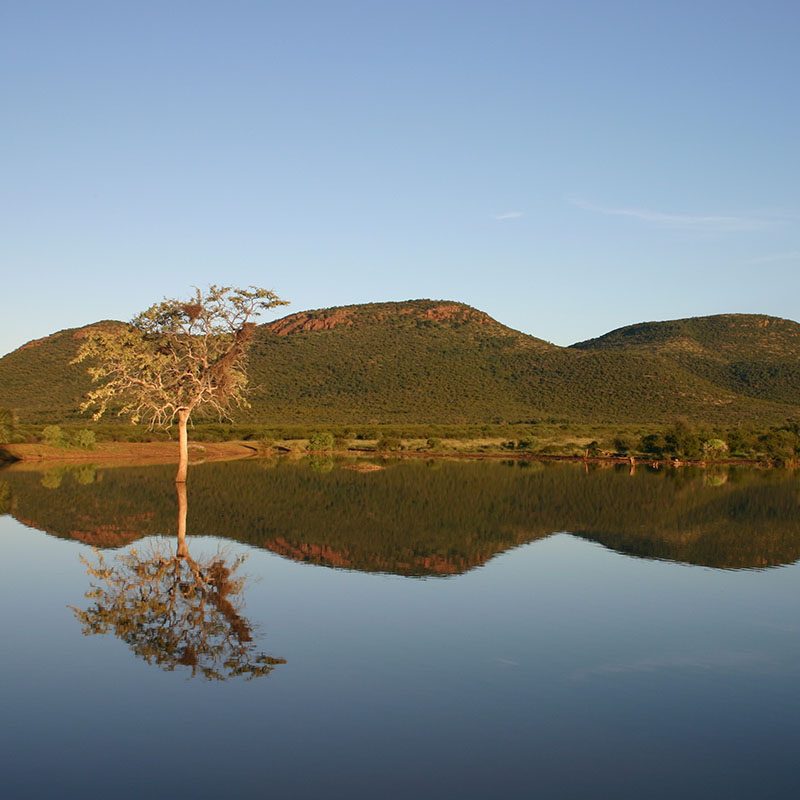 Réserve de Madikwe