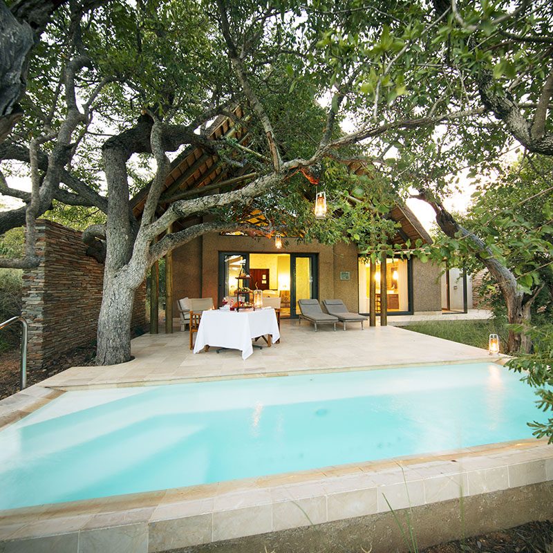 Réserve privée de Kapama