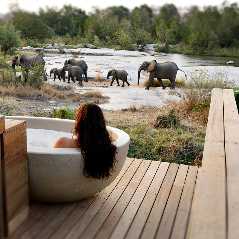 Réserve privée de Sabi Sand