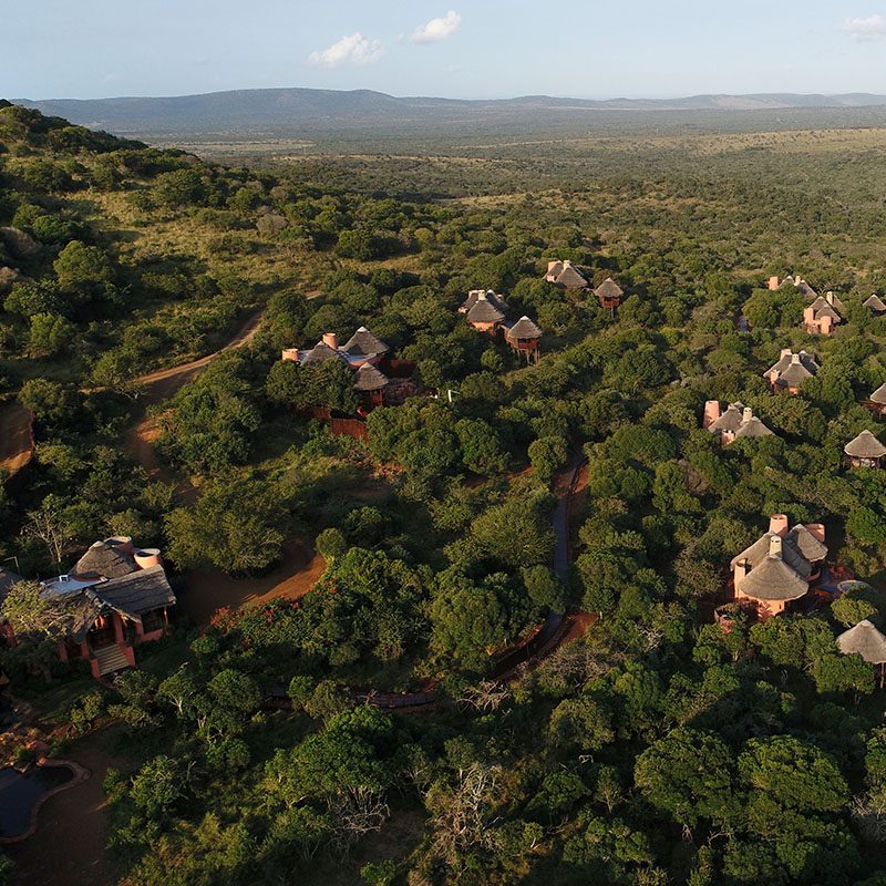 Réserve privée de Thanda