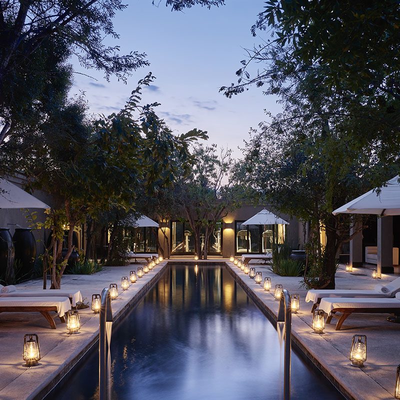 Réserve privée de Thornybush