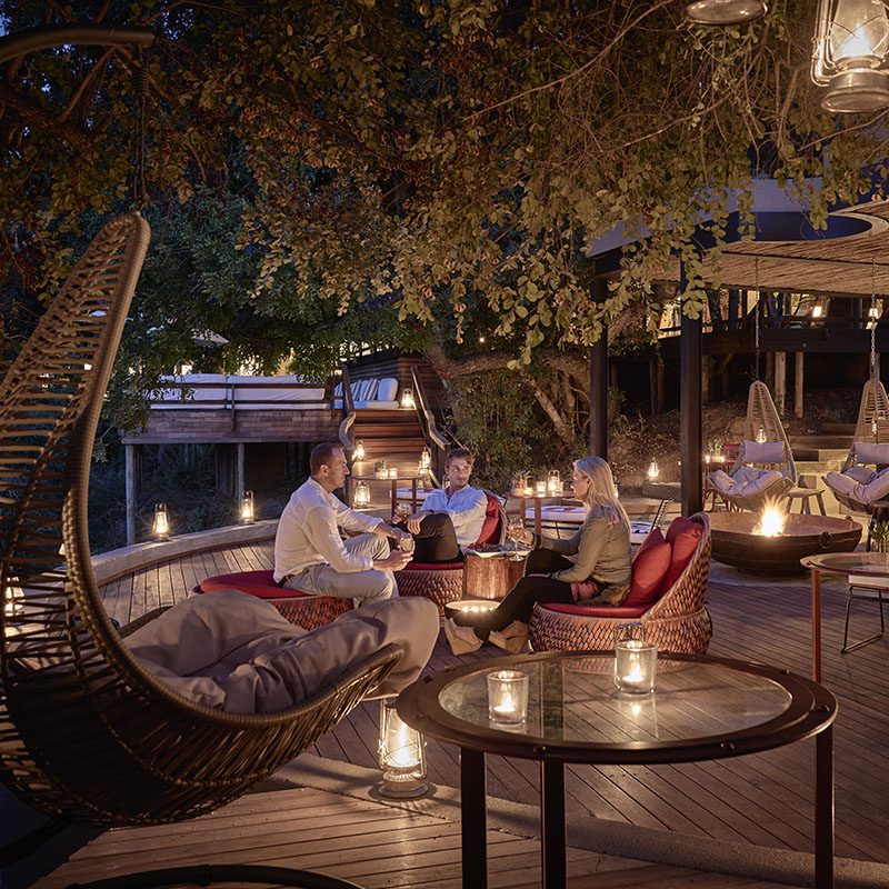 Réserve privée de Thornybush