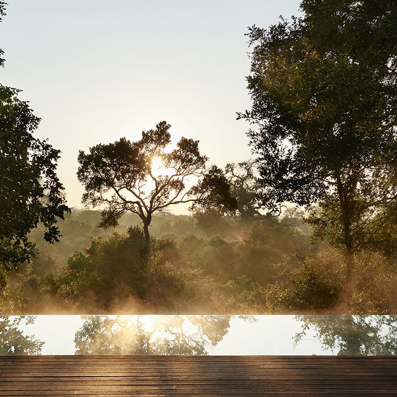 Réserve privée de Thornybush