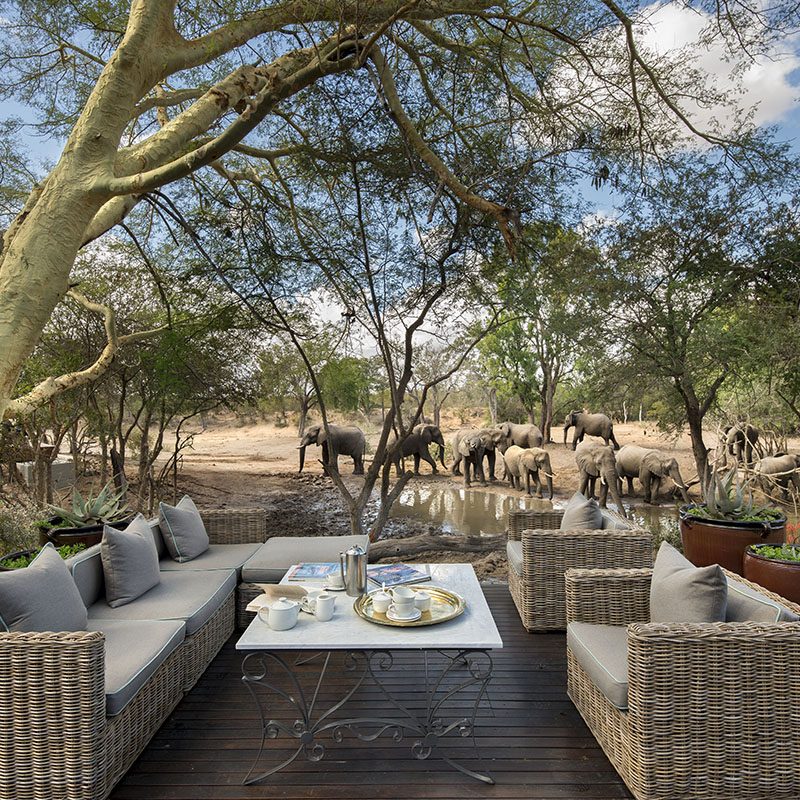 Réserve privée de Timbavati