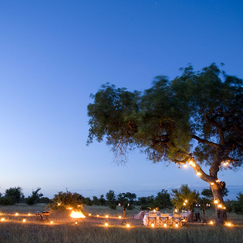 Réserve privée de Timbavati