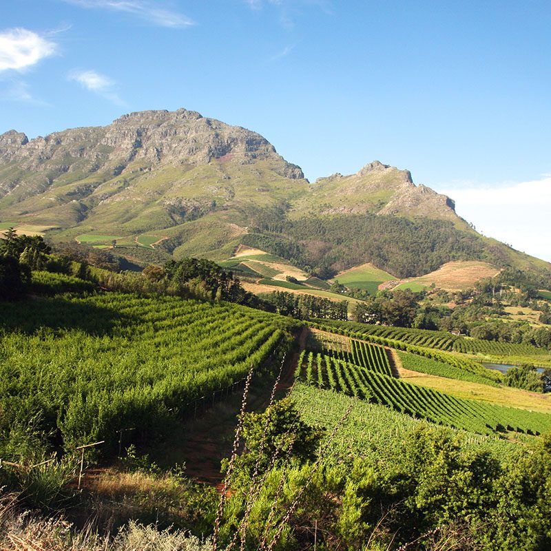 Route des vins