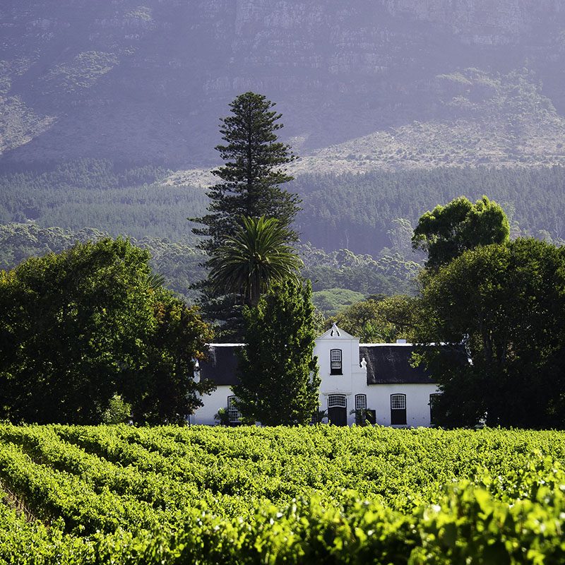 Route des vins