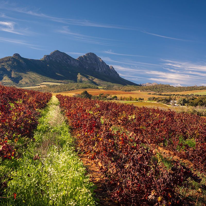 Route des vins