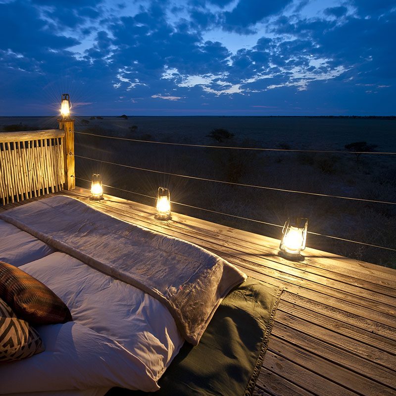 Safaris-Okavango-Botswana-Central-Kalahari-Galerie-6