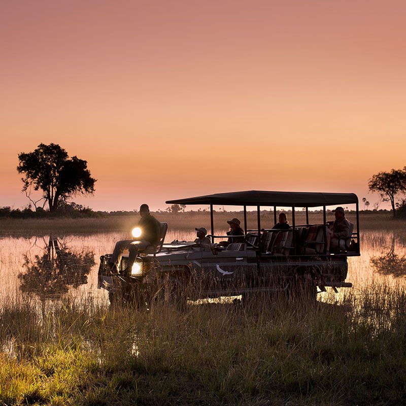 Safaris-Okavango-Botswana-Reserve-de-Moremi