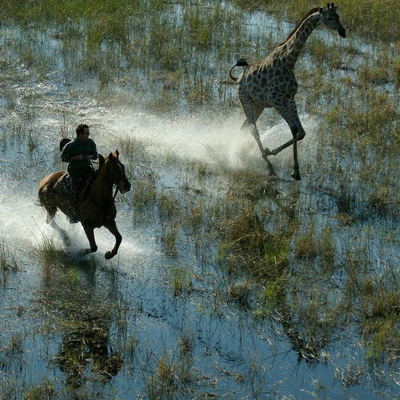 1596746388Safaris-Okavango-Botswana-Delta-Okavango-Galerie-5