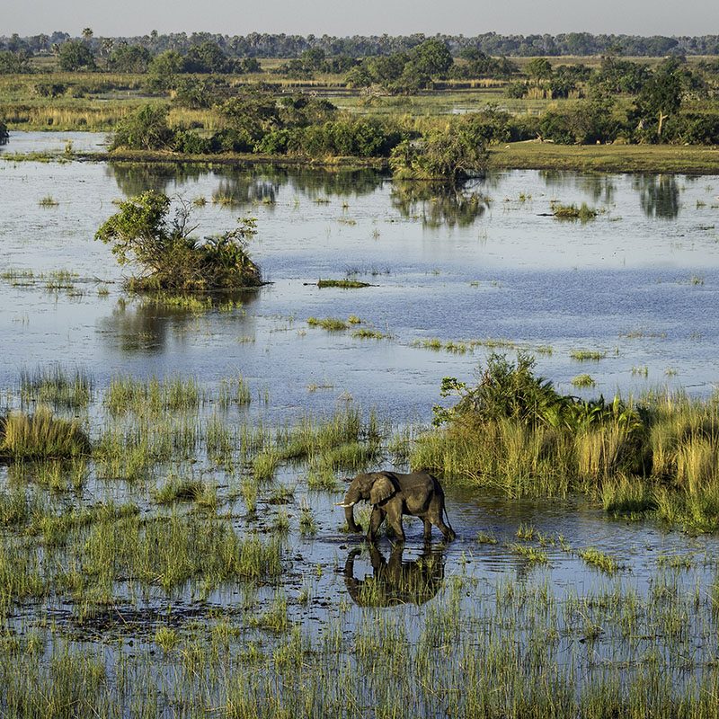 1596746389Safaris-Okavango-Botswana-Delta-Okavango-Grid-1