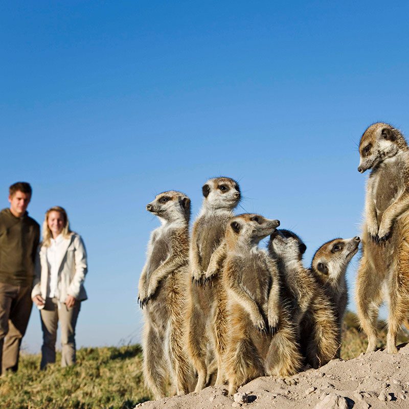 Safaris-Okavango-Botswana-Makgadikgabi-Pans-Galerie-4