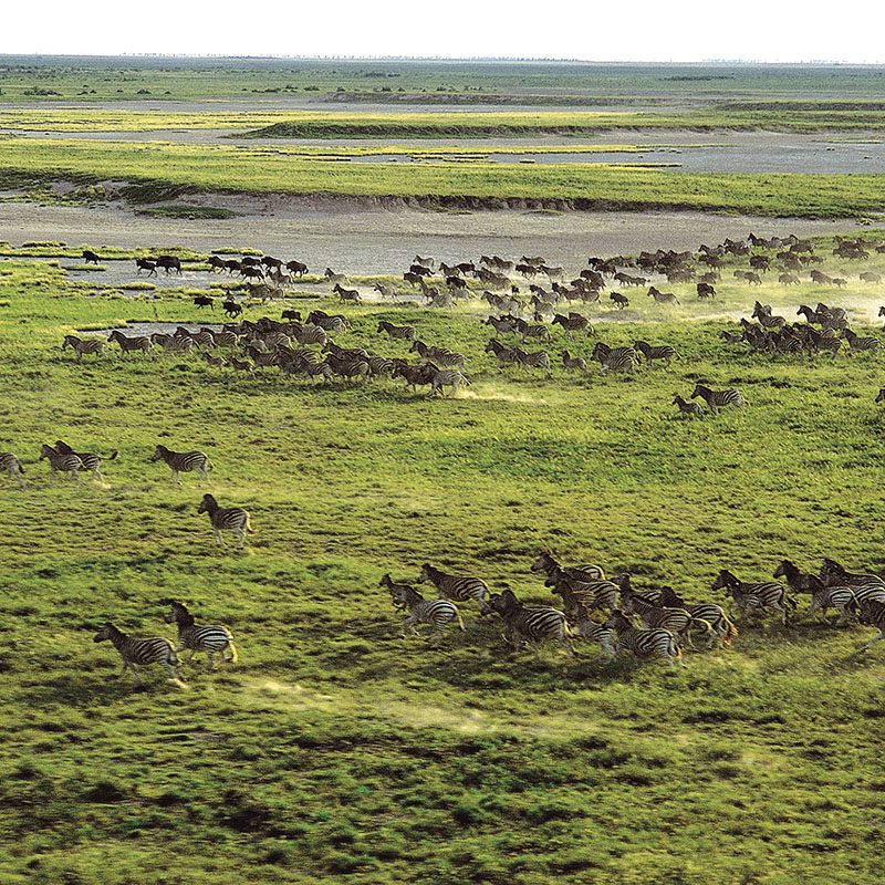 Safaris-Okavango-Botswana-Makgadikgabi-Pans-Grid-3