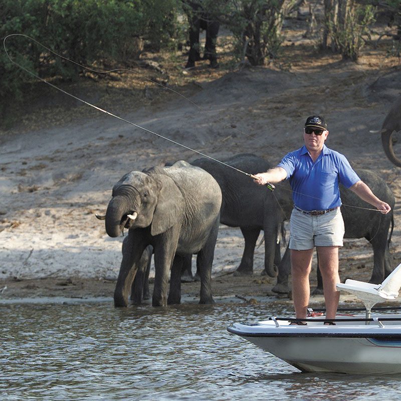 Safaris-Okavango-Botswana-Parc-Chobe-Galerie-3