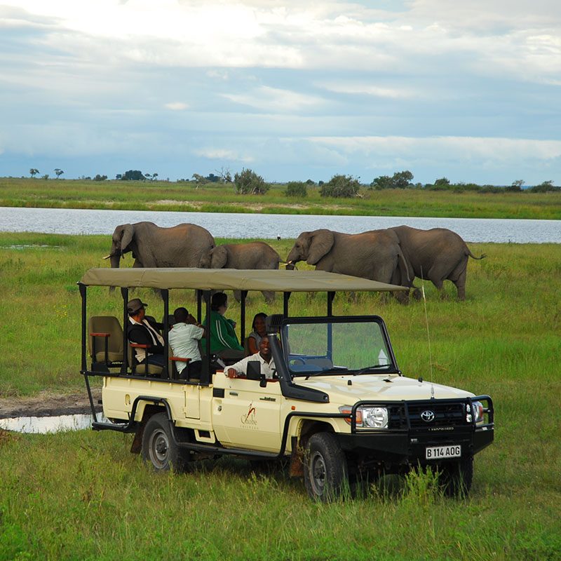 Safaris-Okavango-Botswana-Parc-Chobe-Galerie-4