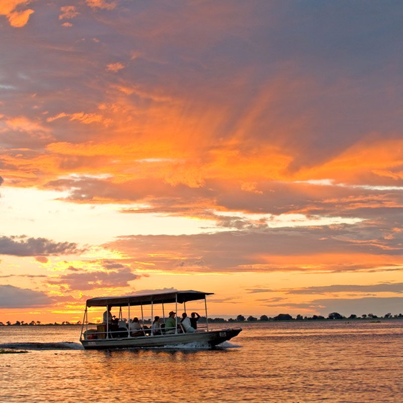 Safaris-Okavango-Botswana-Parc-Chobe-Grid-2