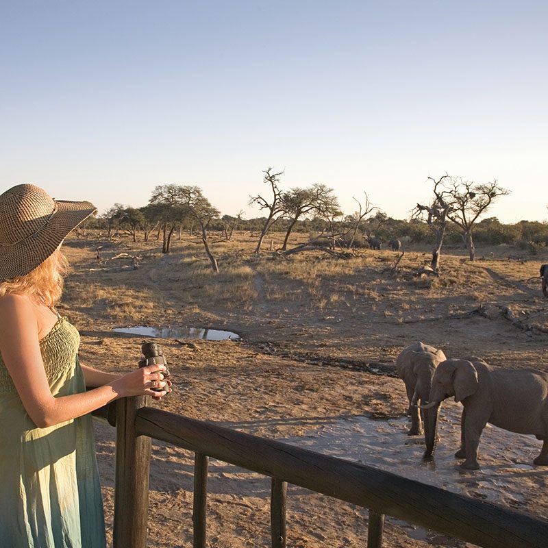 Safaris-Okavango-Botswana-Region-Savute-Galerie-2