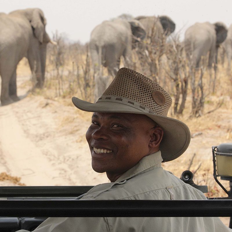 Safaris-Okavango-Botswana-Region-Savute-Galerie-4