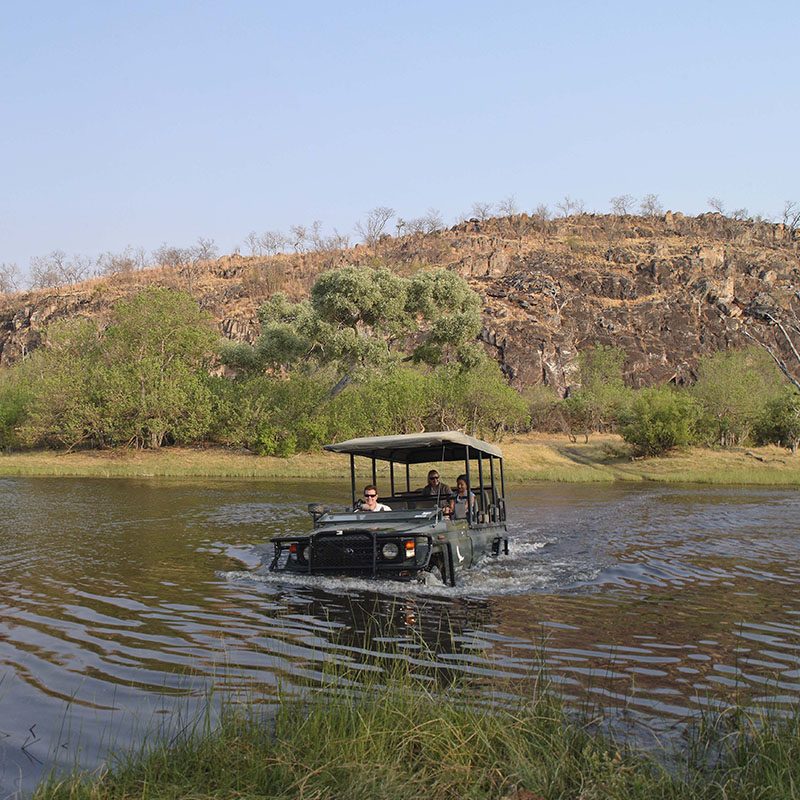 Safaris-Okavango-Botswana-Region-Savute-Galerie-5