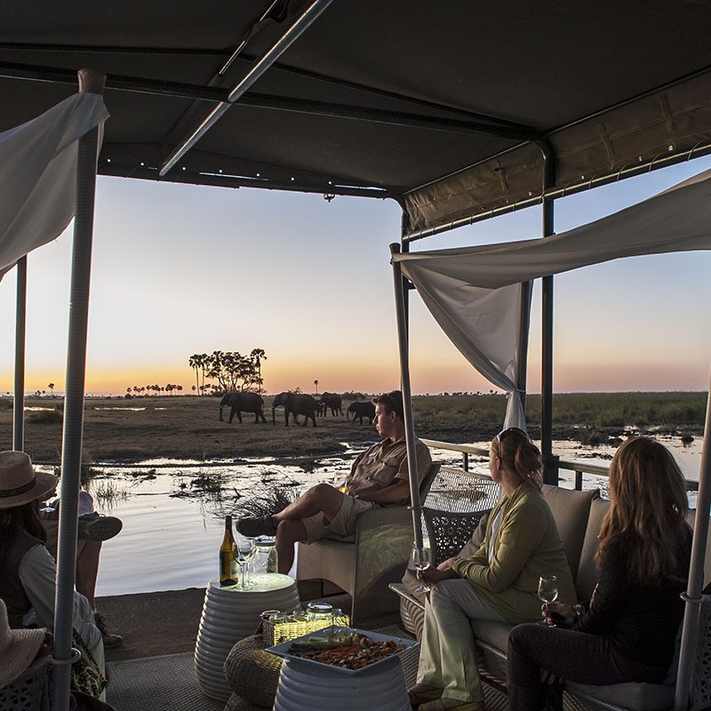 Safaris-Okavango-Botswana-Reserve-de-Linyanti-Galerie-4