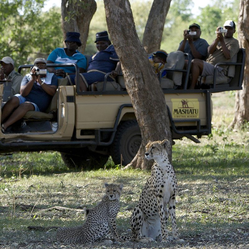Safaris-Okavango-Botswana-Reserve-de-Mashatu