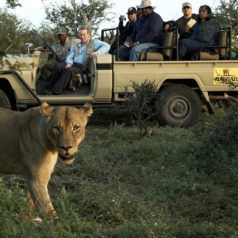 Safaris-Okavango-Botswana-Reserve-de-Mashatu