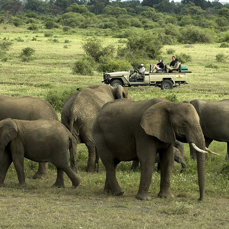 Safaris-Okavango-Botswana-Reserve-de-Mashatu