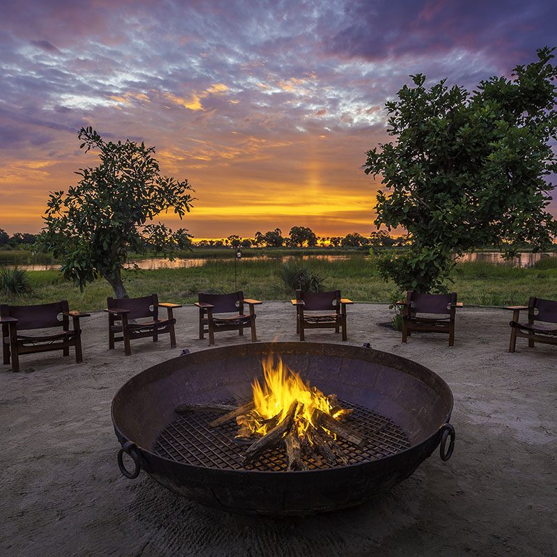 Safaris-Okavango-Botswana-Reserve-de-Moremi