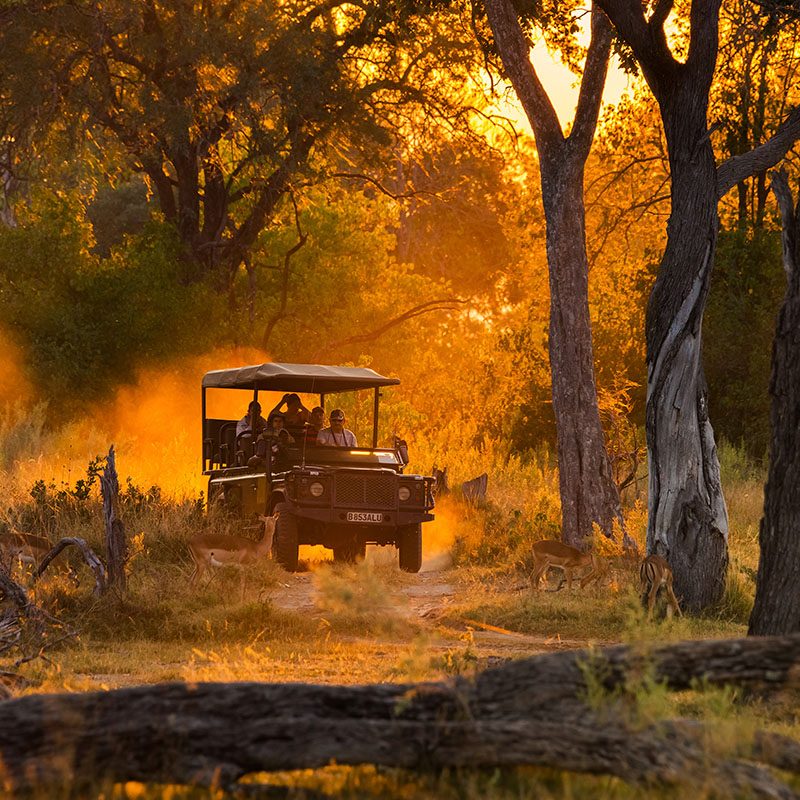 Safaris-Okavango-Botswana-