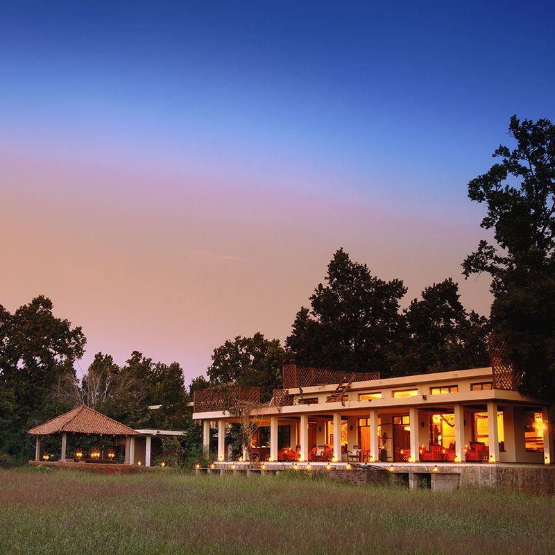 Safaris-Okavango-inde-madhya-pradesh