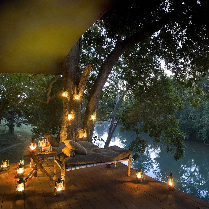 Safaris-Okavango-inde-madhya-pradesh