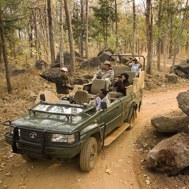 Safaris-Okavango-inde-madhya-pradesh