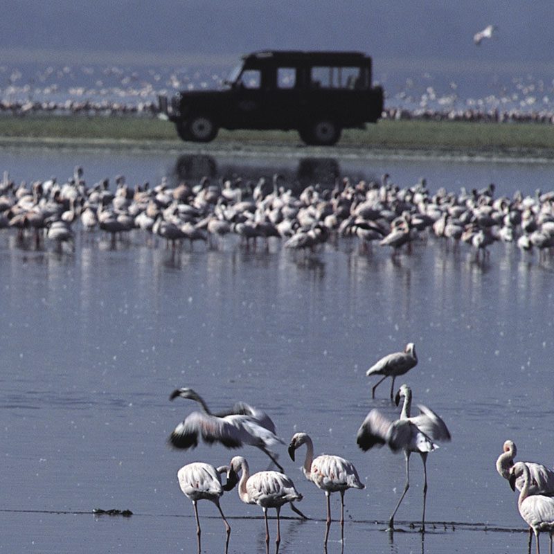 1596781098Safaris-Okavango-Kenya-Lac-Naivasha-Galerie-1