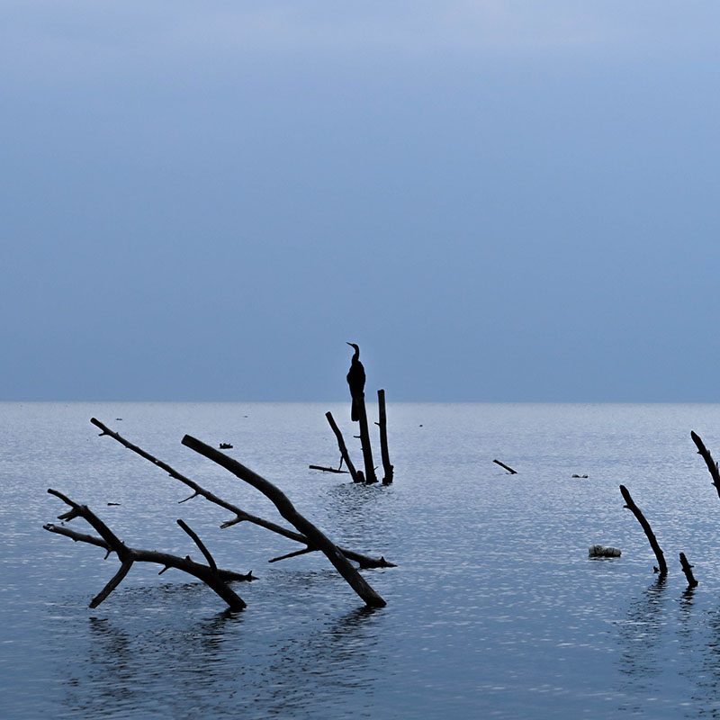 Safaris-Okavango-Kenya-Lac-Victoria-Galerie
