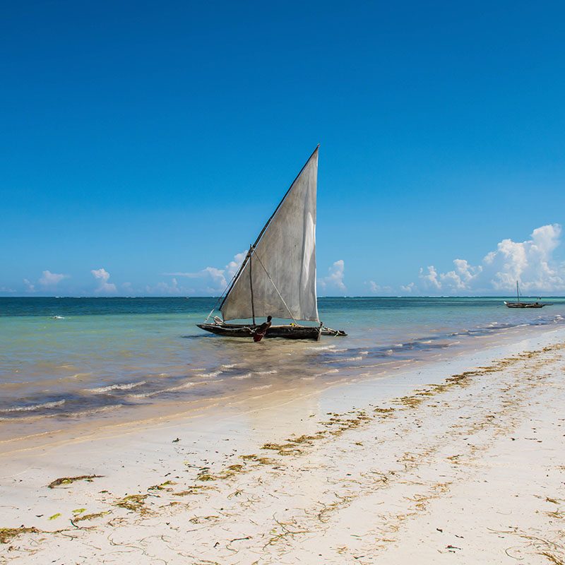 Safaris-Okavango-Kenya-Mombasa-Galerie