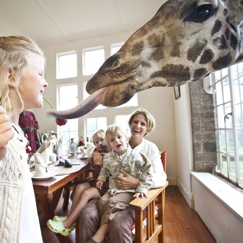 1596784727Safaris-Okavango-Kenya-Nairobi-Galerie-2