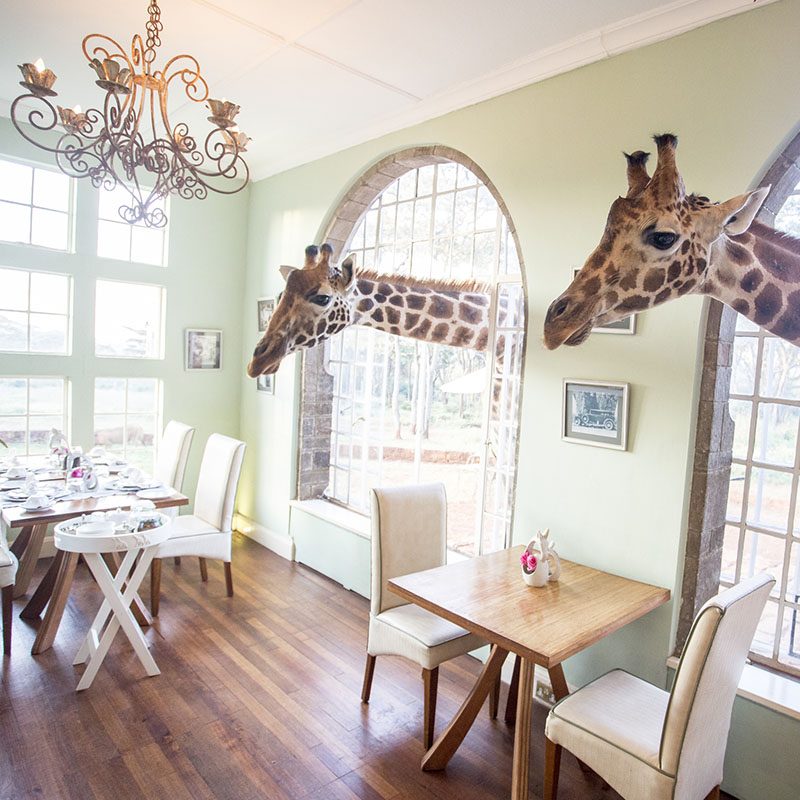 1596784727Safaris-Okavango-Kenya-Nairobi-Grid-1