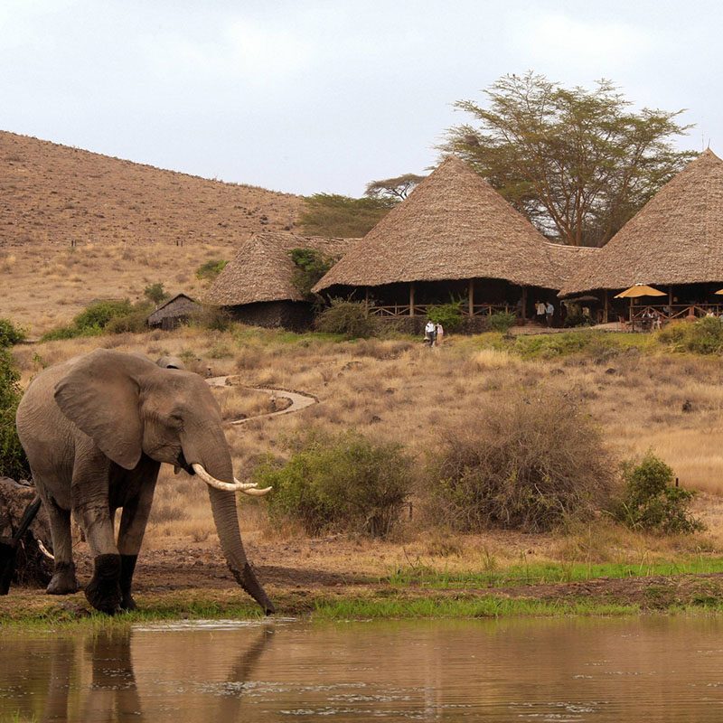 1596785272Safaris-Okavango-Kenya-Parc-Amboseli-Galerie-3